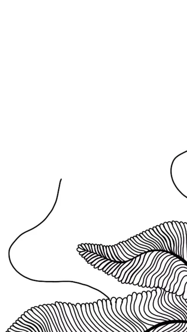 A black line illustration with curved forms and repeated fine lines